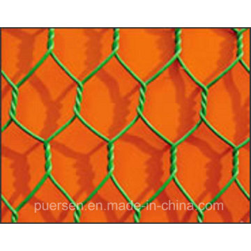 2015 China PVC Coated Iron Hexagonal Wire Mesh